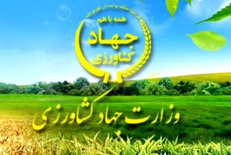 ایران برای خرید ۳۰۰ هزار تن ذرت و دانه سویا از بازار جهانی مناقصه برگزار می‌کند