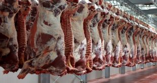 قیمت گوشت امروز چند؟+ جدول