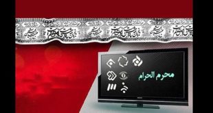 نگاهی به برنامه ها و سریال های محرم تلویزیون + جزئیات