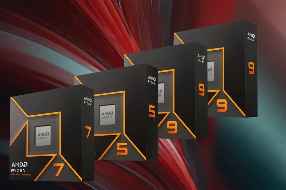 1724354499 954 AMD انگارً دیگر چیزی برای از دست دادن ندارد دانشجو