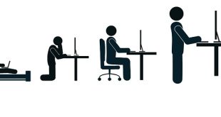 ارگونومی چیست و چه مزایایی دارد؟_دانشجو 11 ارگونومی چیست